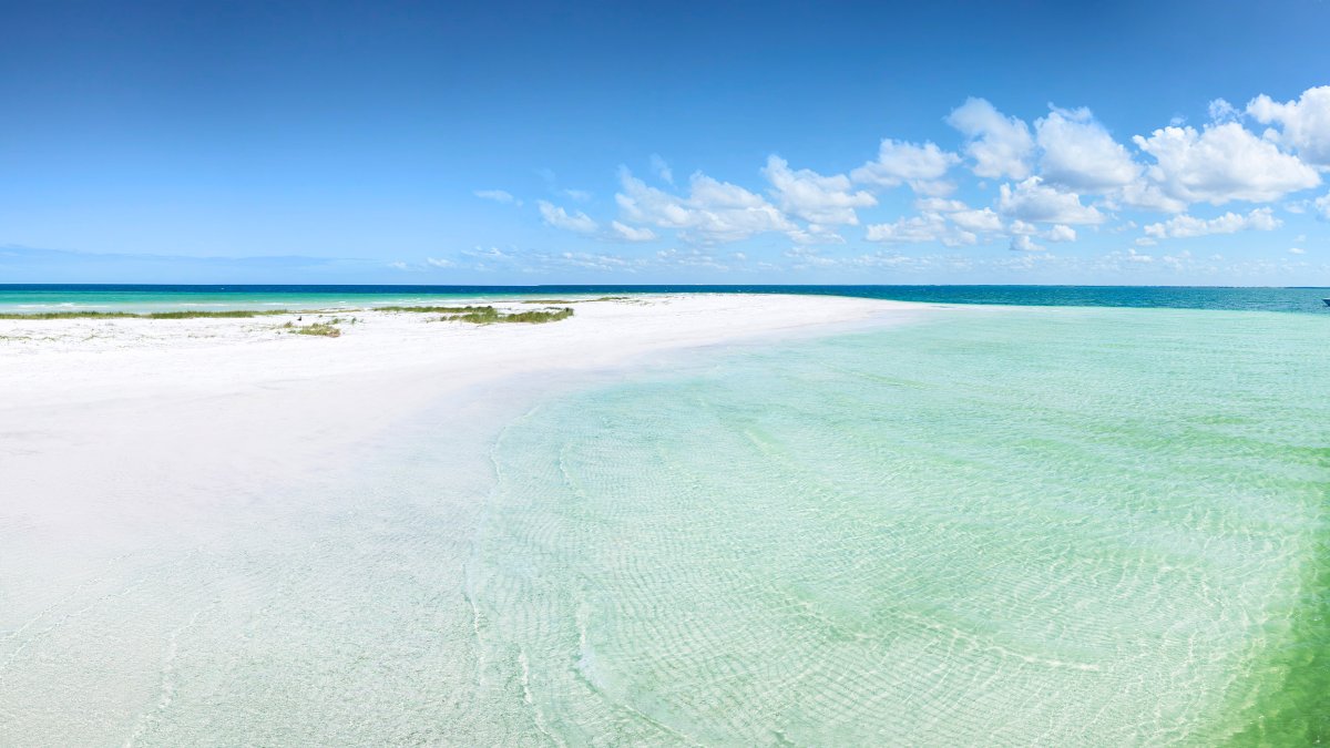 A beach on Anclote Key with the Gulf of Mexico in the background.