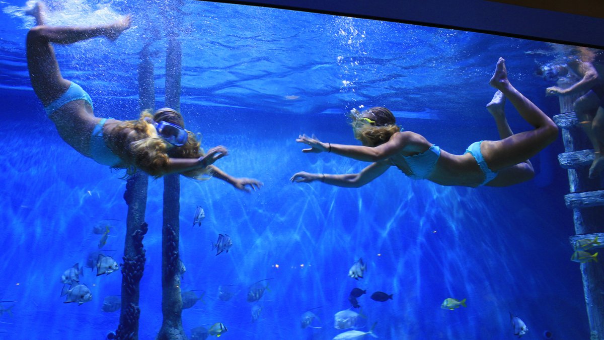 Two girls enjoying the fish experience at Rumfish