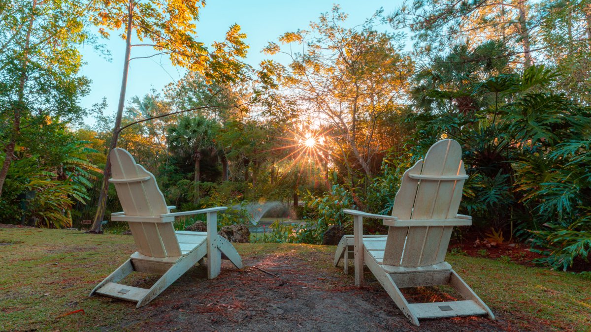 Lounge chairs over look trees, a pond and a fountain at Florida Botanical Gardens in Largo.