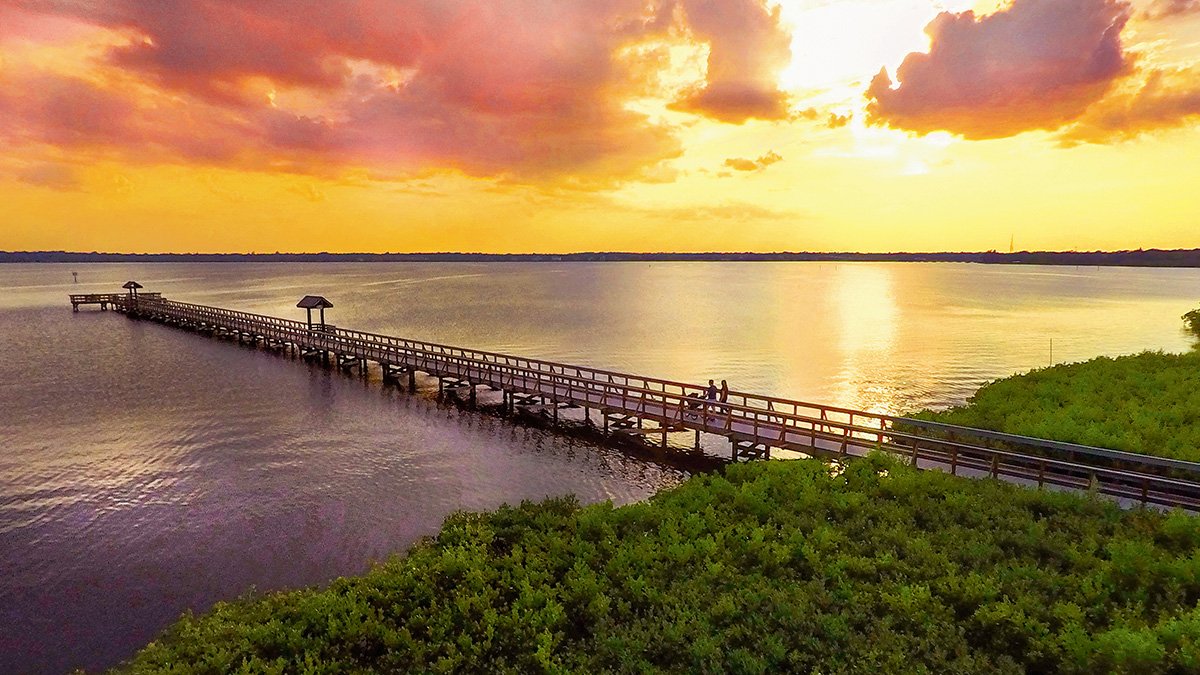 Oldsmar, FL Things to Do & Attractions Visit St Petersburg Clearwater