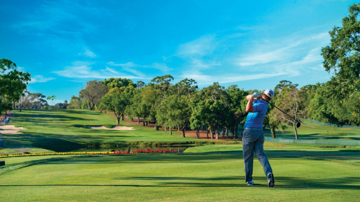 a golfer tees off at Innisbrook Resort in Palm Harbor