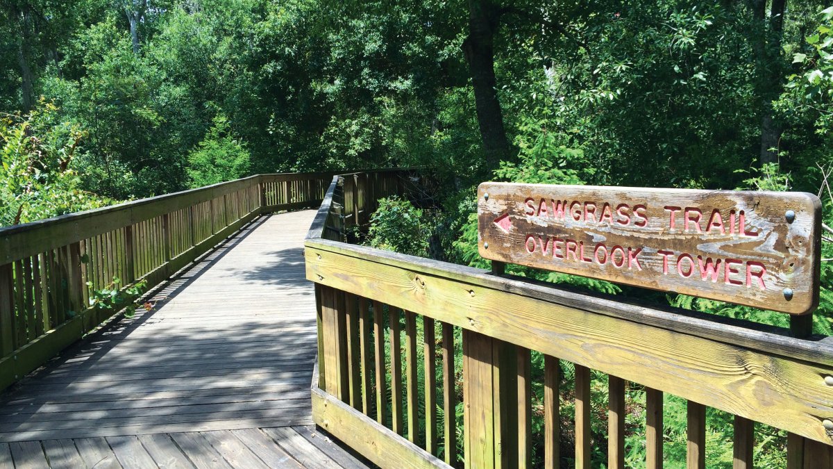 Sawgrass Lake Park boardwalk entrance and sign, surrounded by nature