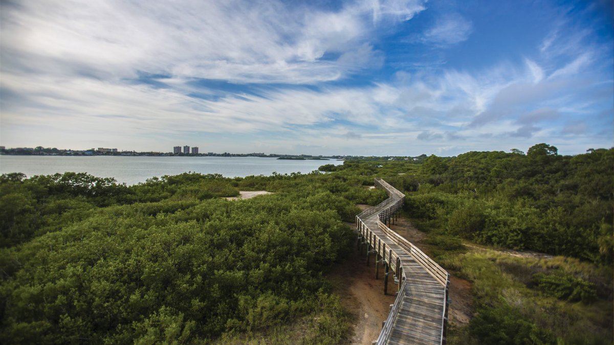 Aerial view of Boca Ciega Park boardwalk in Seminole