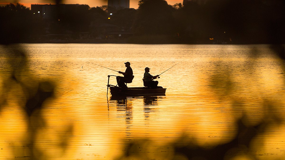 Seminole, FL Things to Do & Attractions Visit St Petersburg