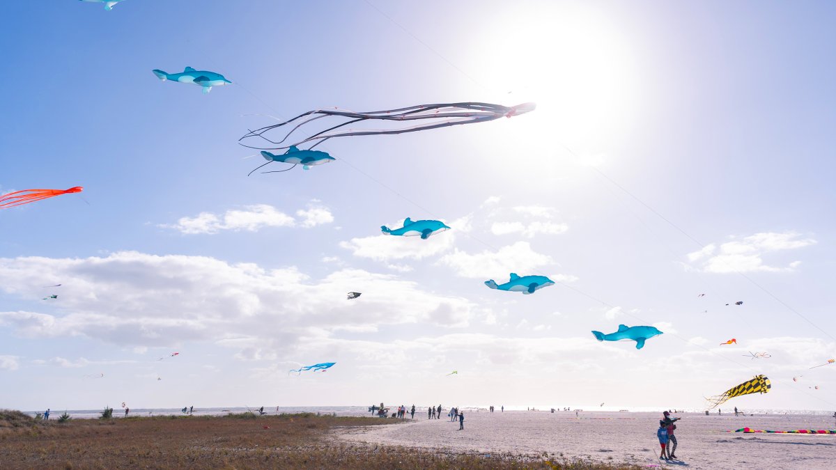 Many people flying kites on Treasure Island Beach's kite festival