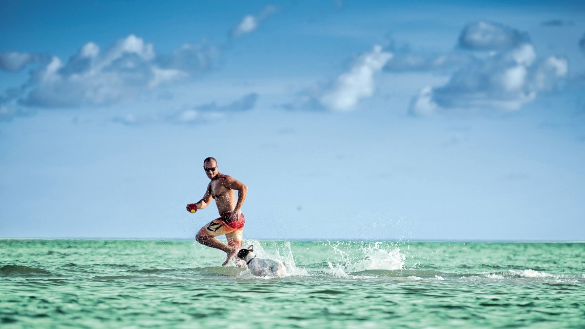 A man runs along the shallow waters of the Gulf with his Dog