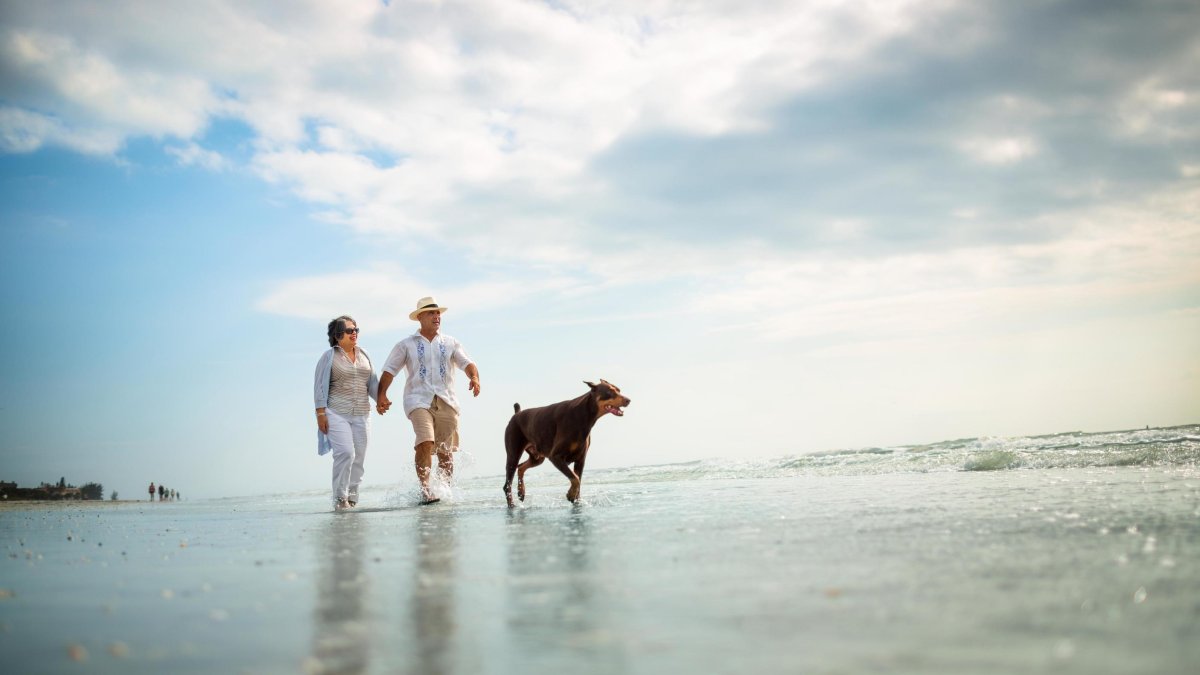 An couple in their 50s walk along the Fort De Soto shoreline with their dog