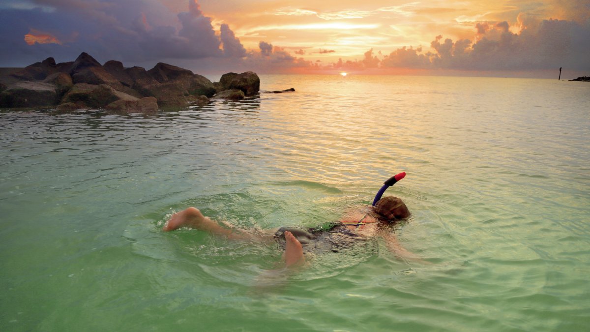 A girl snorkels in the water around Honeymoon Island at sunset