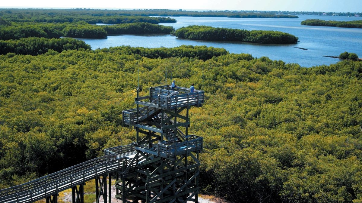 Eine Weitwinkelaufnahme des Aussichtsturms auf Weedon Island