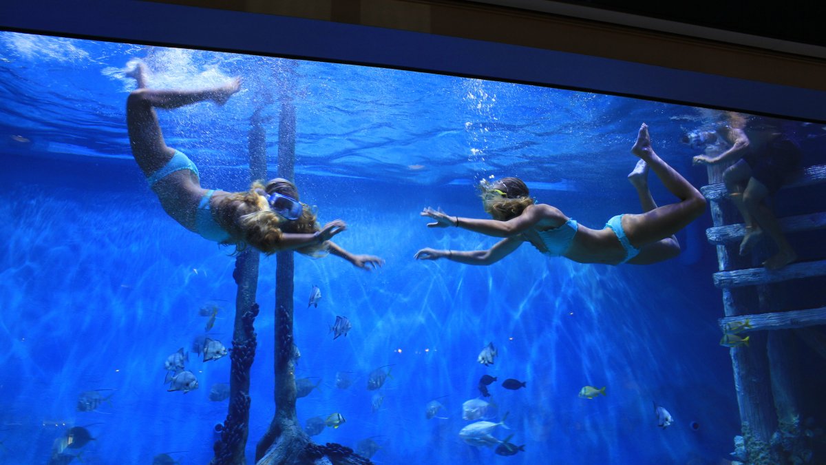 Three children with in a fish tank at the RumFish Grill