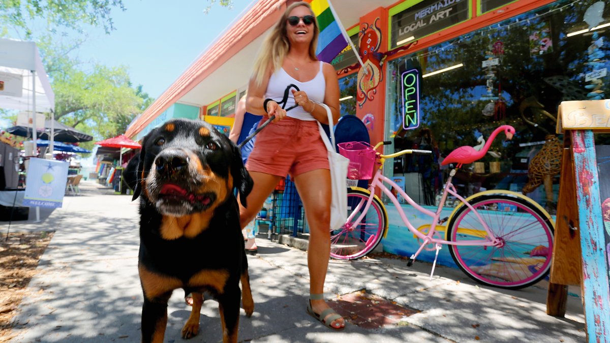 Uma garota passeando em um rottweiler em frente a uma loja com uma bandeira LGBTQ e um flamingo rosa