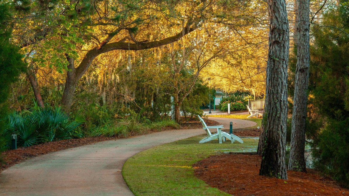 A pathway through Florida Botanical Gardens with lots of trees and a chair