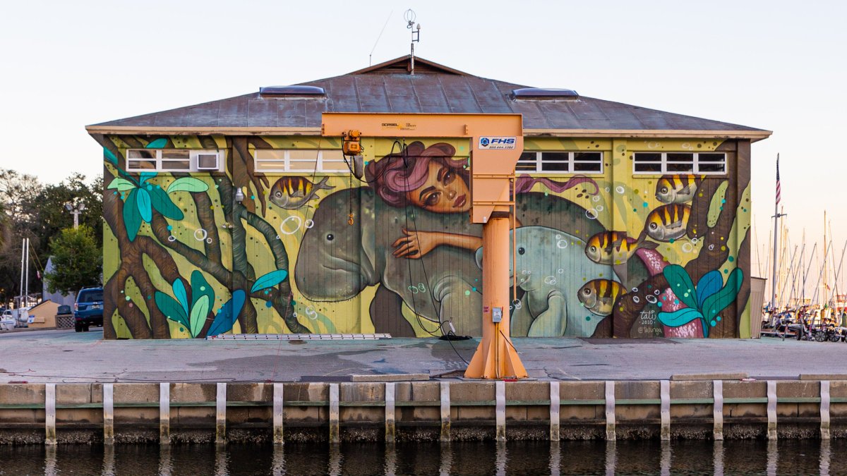 Mural showing a mermaid and manatees painted in St. Pete Marina