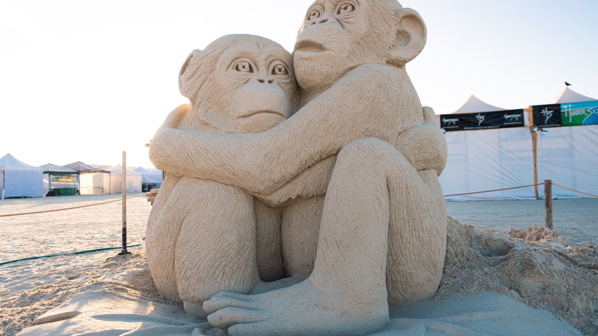 A sand sculpture of two monkeys hugging each other looking scared.