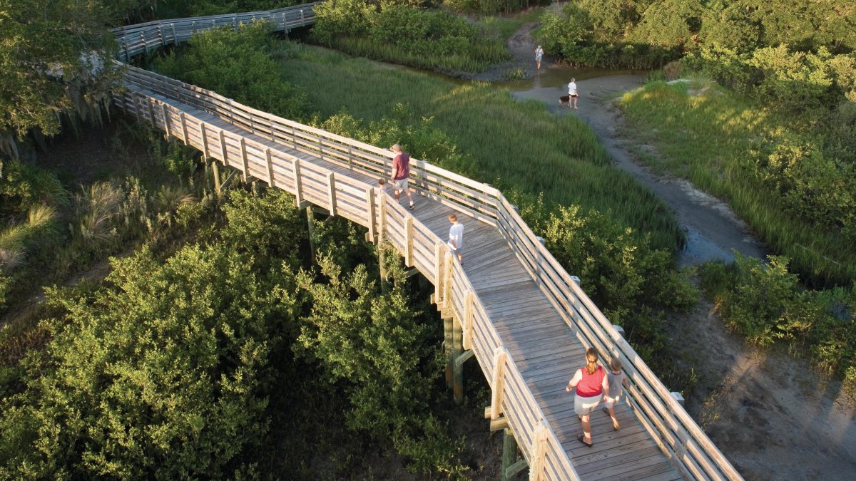 People walking on a boardwalk through Boca Ciega Millennium Park and people walking there dog in the fields 