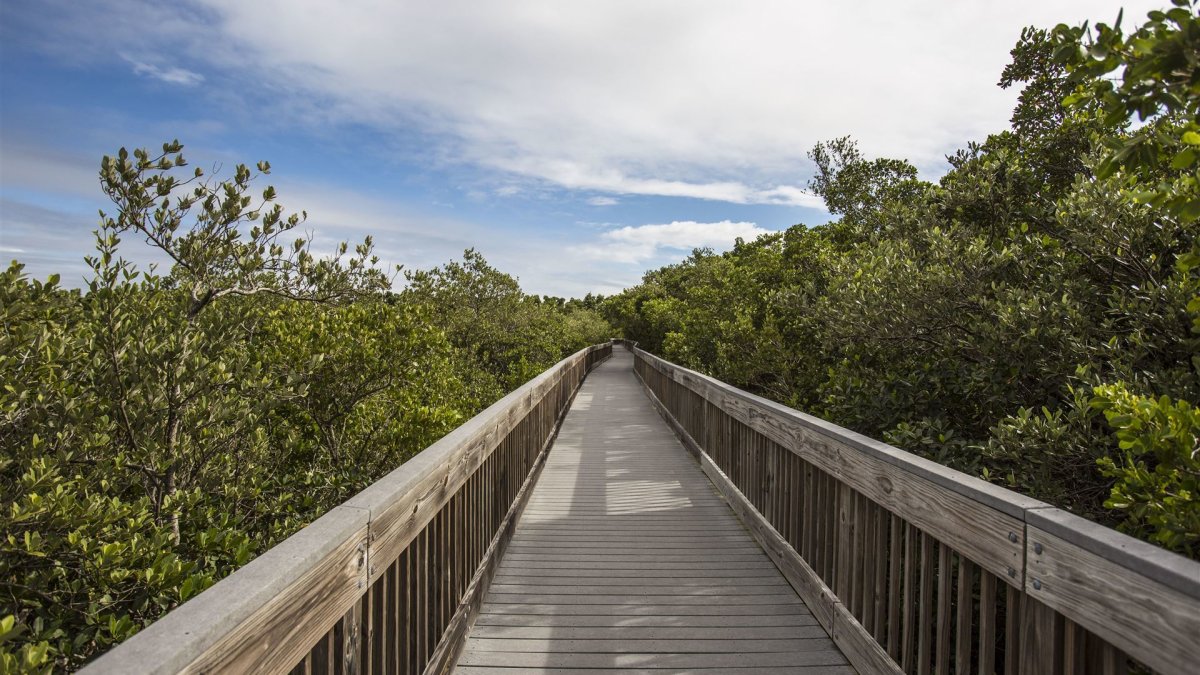 A shot of the Weedon Island Preserve boardwalk