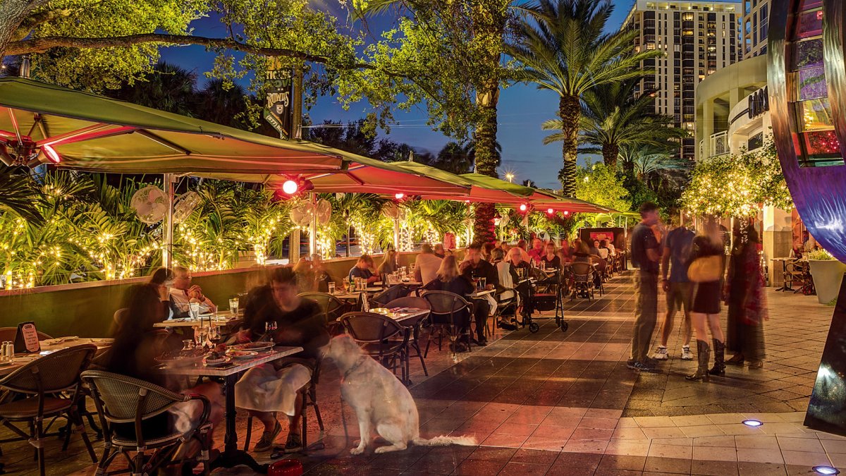 A couple outdoor dining in the evening with there dog sitting at the table patiently.