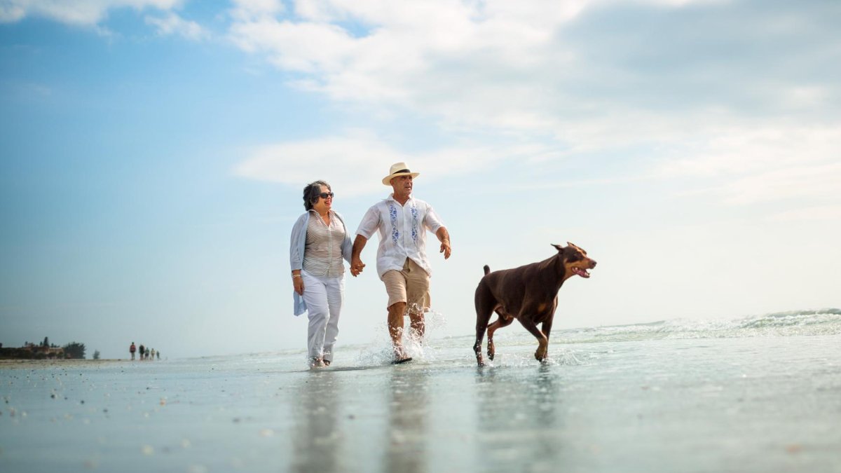 Ein Paar geht mit einem großen Hund im seichten Wasser den Strand entlang.