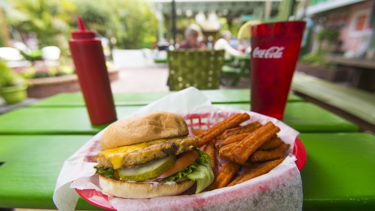 A turkey burger at the Chattaway in St. Pete