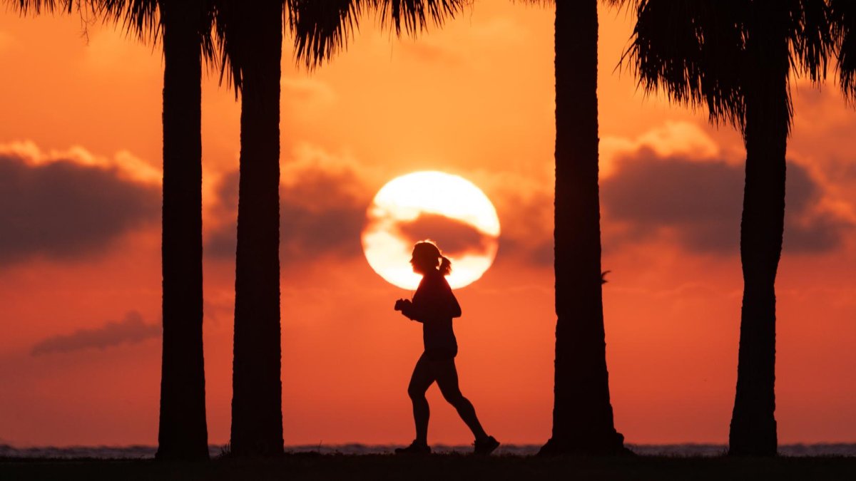 A woman runs North Bay Trail at Vinoy Park during sunrise