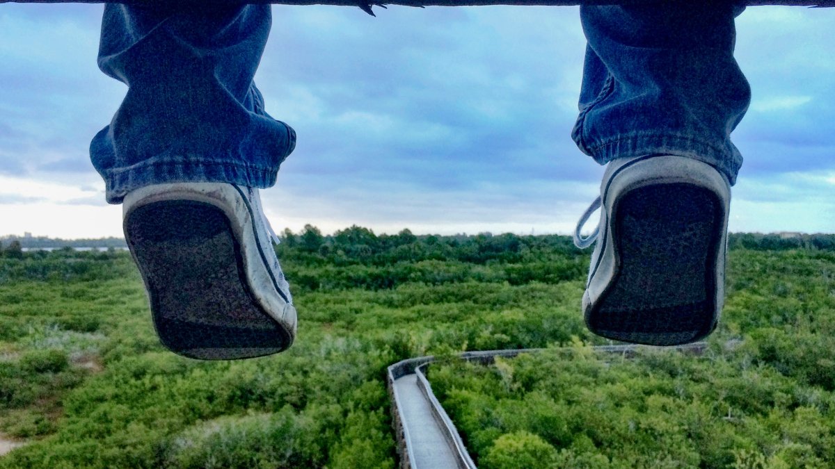 Feet dangle from above as the Weedon Island boardwalk is shown in the background