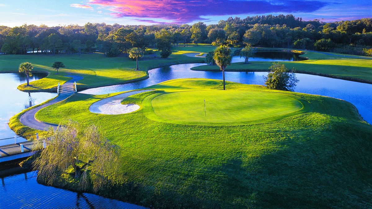 Palm Harbor Innisbrook Golf Aerial