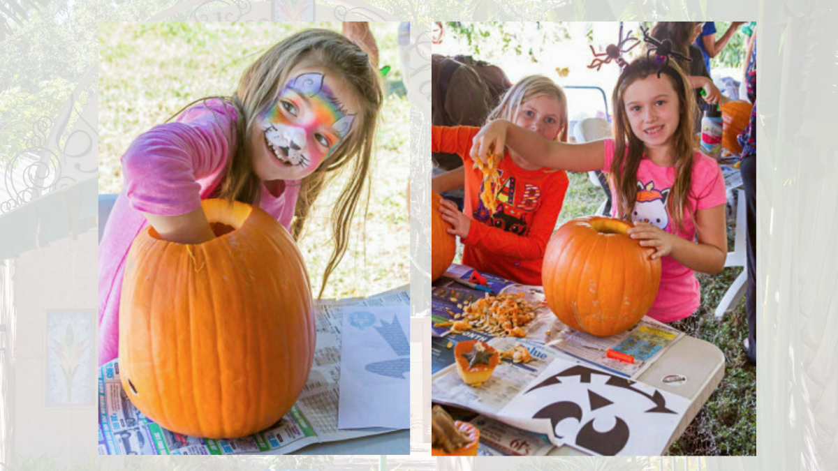 Florida Botanical Gardens Pumpkin Patch