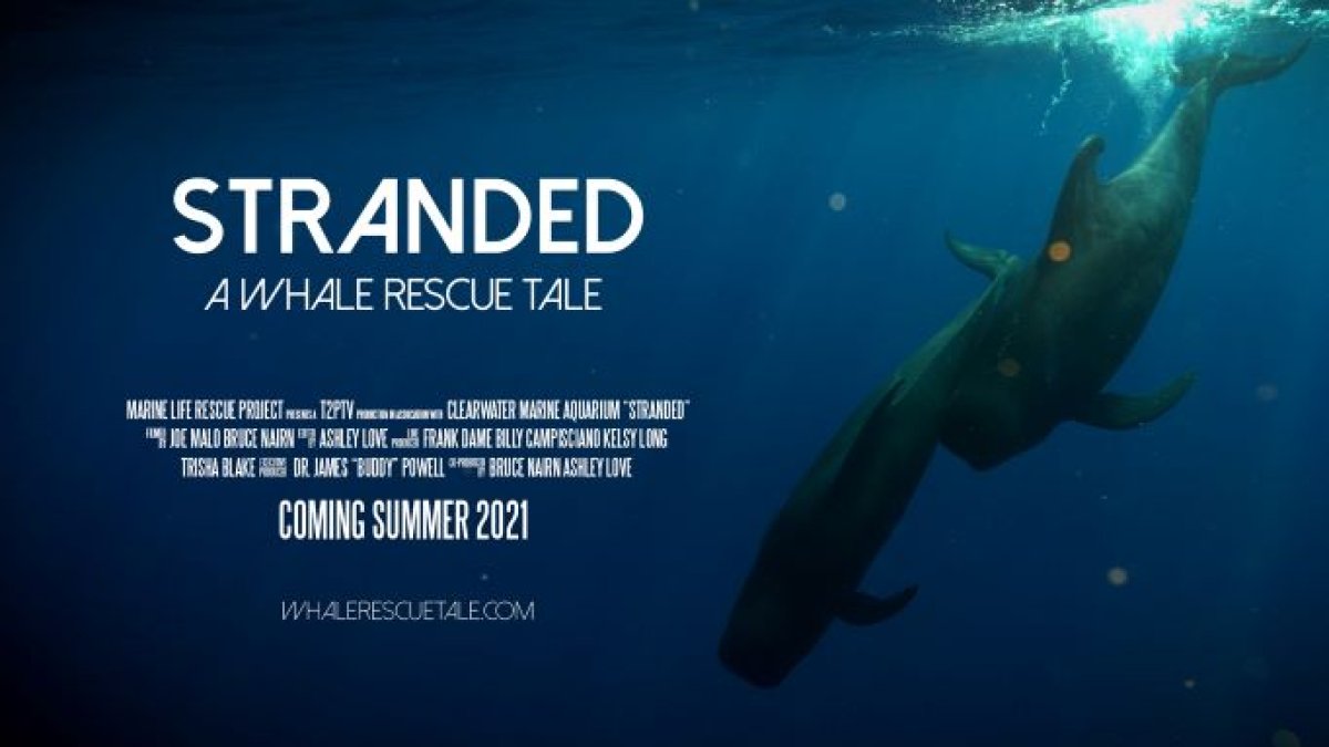 Stranded movie poster