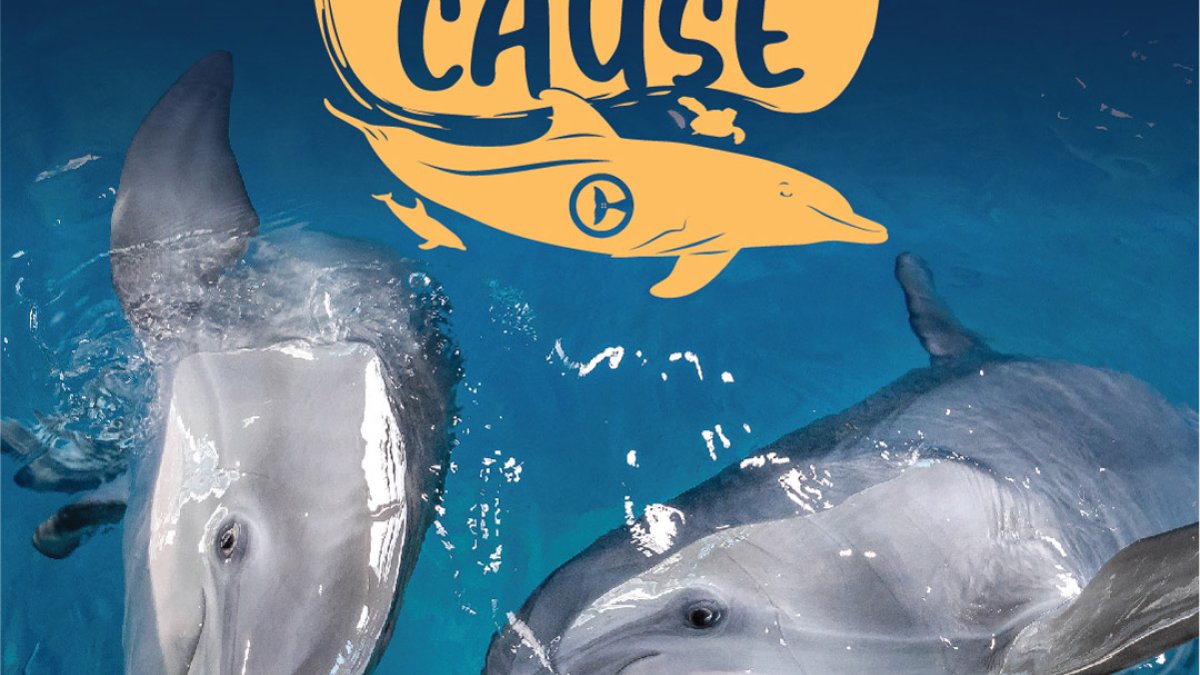 Paint for a Cause