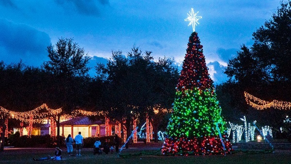 Largo Tree Lighting