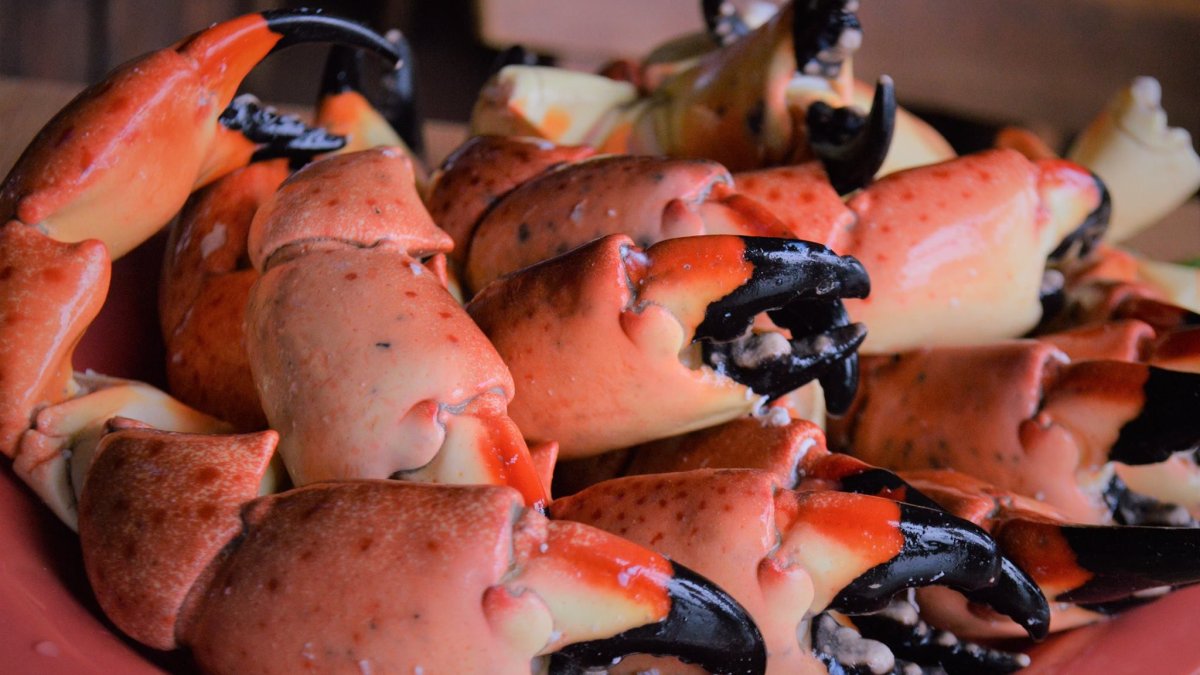 Florida Stone Crab Claws