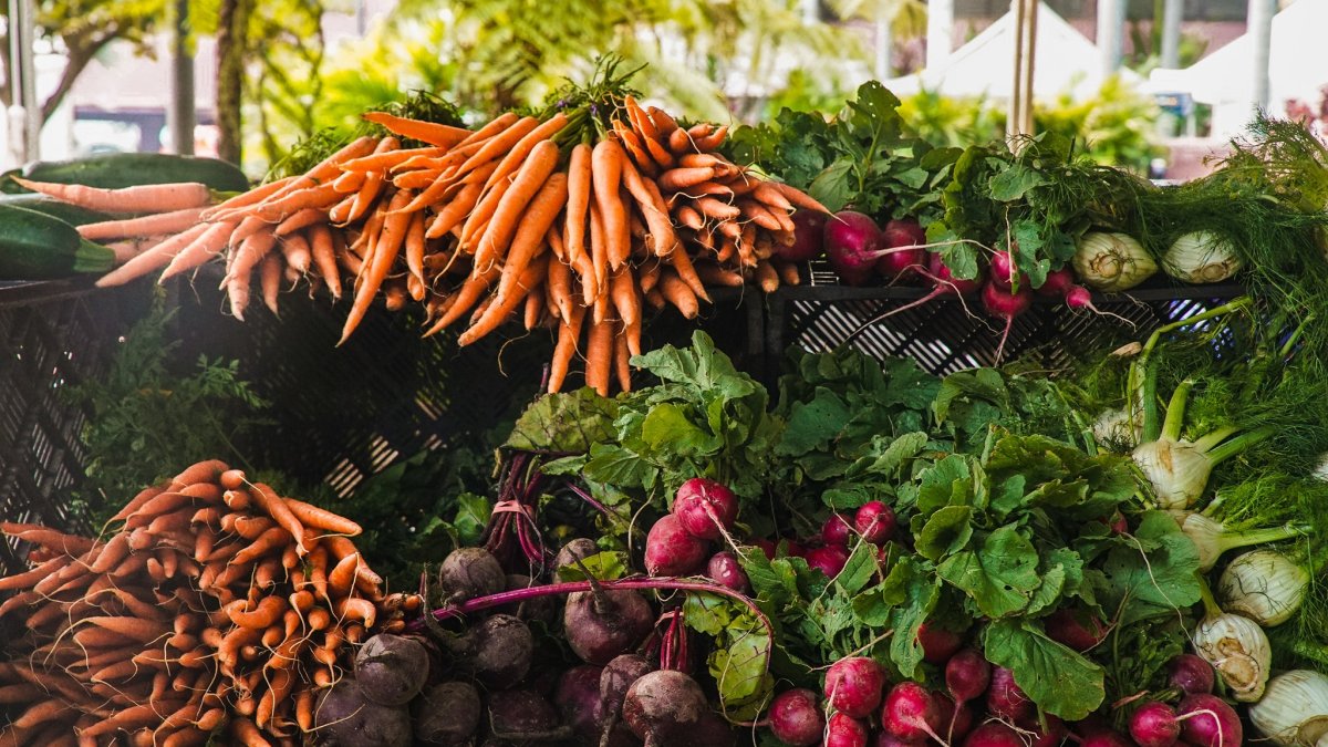 Clearwater Hispanic Farmers Market