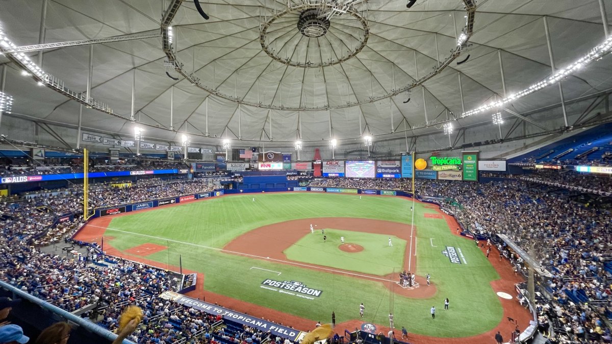 tampa baseball stadium