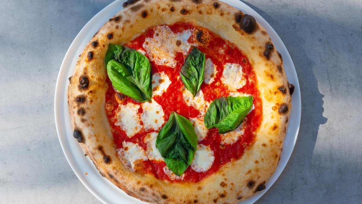 Image of a personal pizza pie at Jay Luigi restaurant in St. Pete with various cheeses and topped with fresh greens.