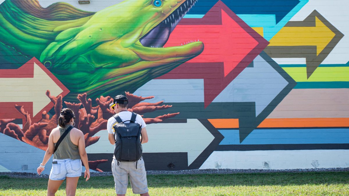 "The 8th Funky Fish Town" Mural by Blaine Fontana and Plastic Birdie, with PangeaSeed Foundation and Sea Walls: Artists for Oceans, Warehouse Arts District