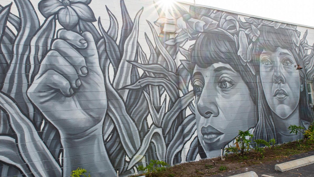 "La Emperatriz" Mural by Paola Delfin, Warehouse Arts District