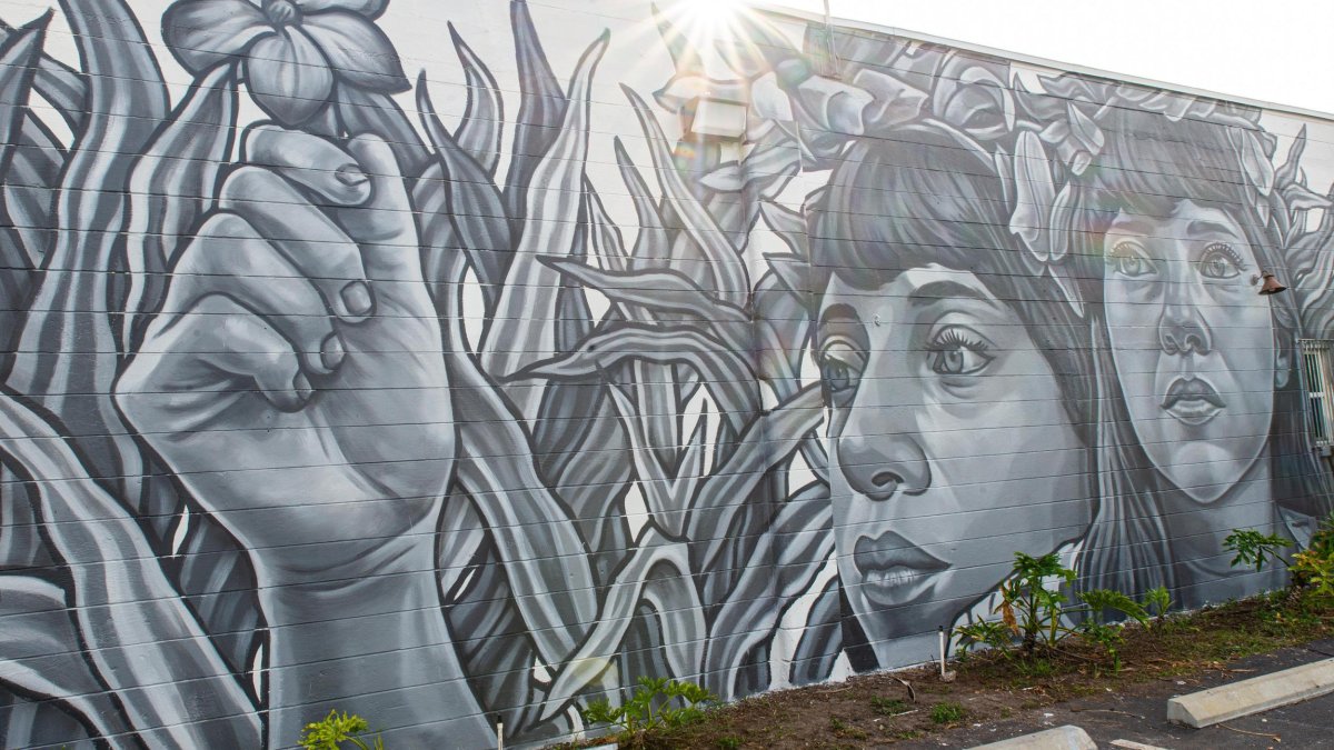 "La Emperatriz" Mural by Paola Delfin,  Warehouse Arts District