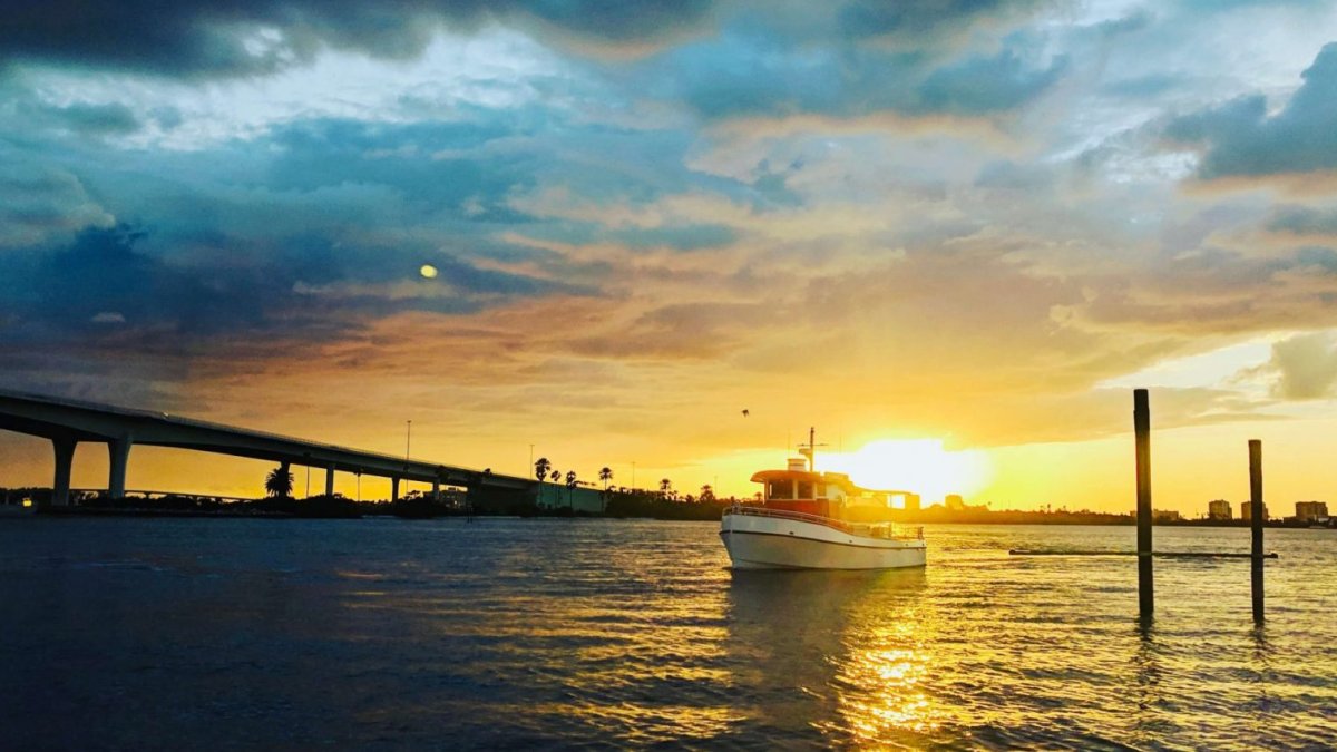 Little Toot Dolphin Adventure tour in Clearwater Beach featuring a boat on the water during sunset.