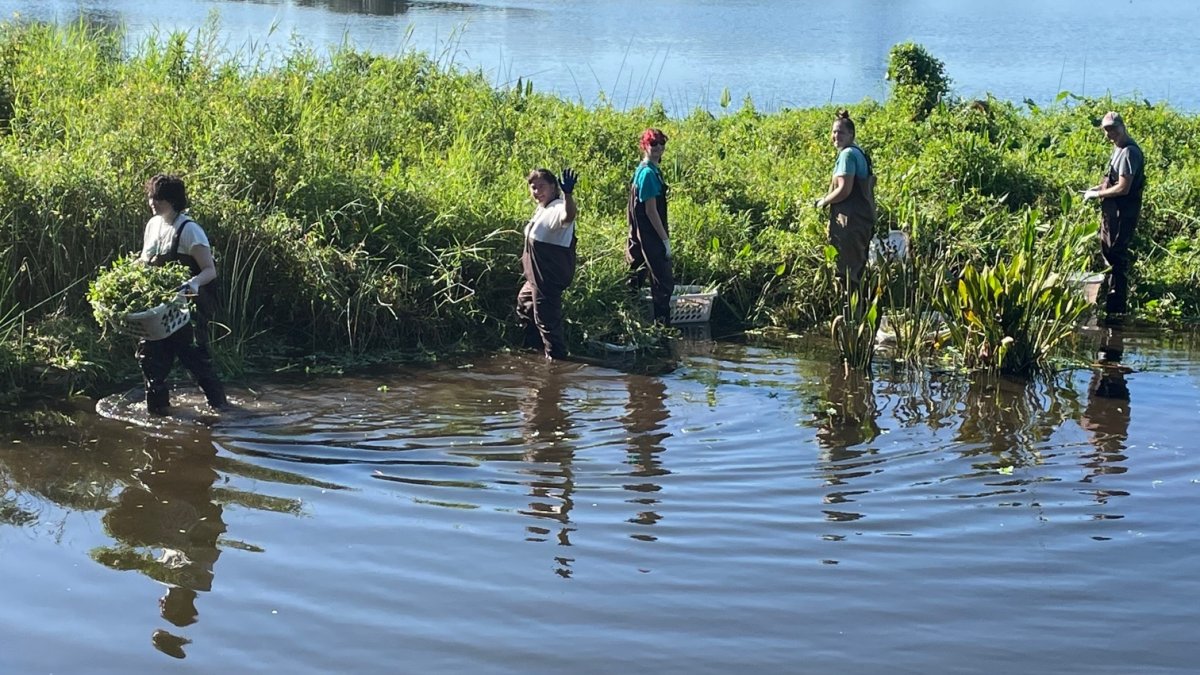 Crescent Lake Cleanup