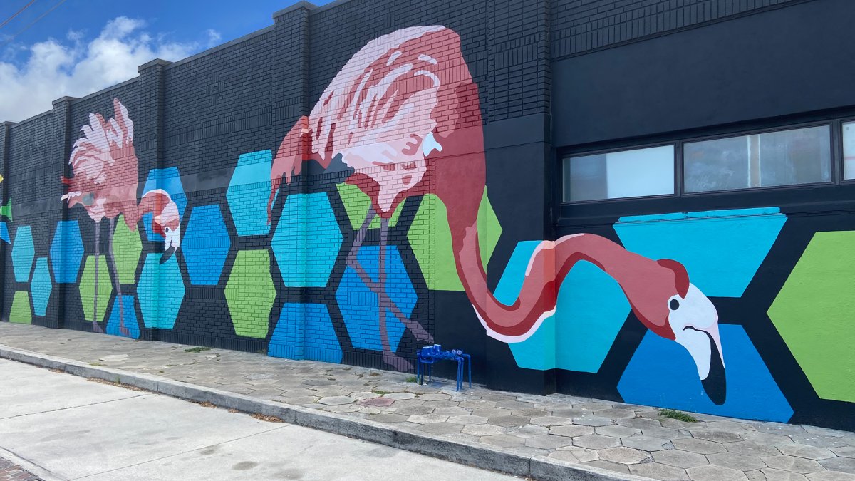 Street mural by Amy Williams and Taylor Waldmann in St. Pete, FL featuring giant pink flamingos and blue and green hexagons painted on a dark blue wall background.