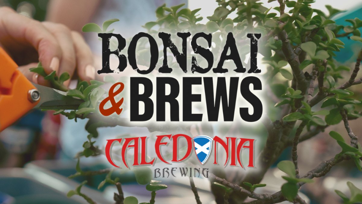 Bonsai & Brews at Caledonia Brewing Visit St Petersburg Clearwater