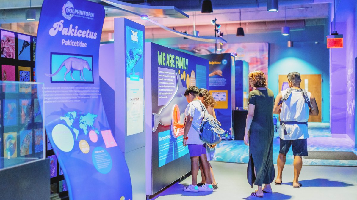 los visitantes miran exhibiciones sobre delfines en Clearwater Marine Aquarium