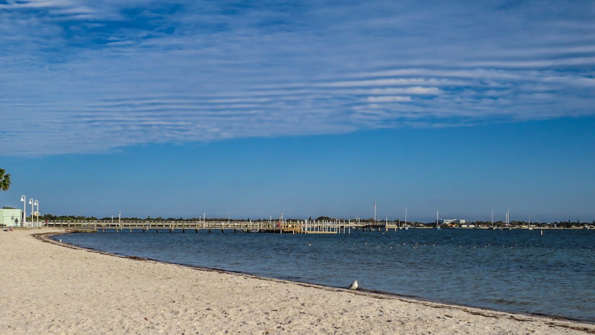 die geschwungene Küste von Gulfport Beach an der Boca Ciega Bay mit einem Angelsteg im Hintergrund