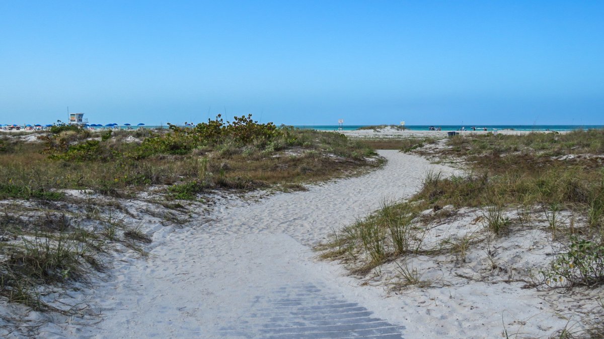 a sandy boardwalk leads to a sand path lined with dunes and vegetation at Sand Key Park