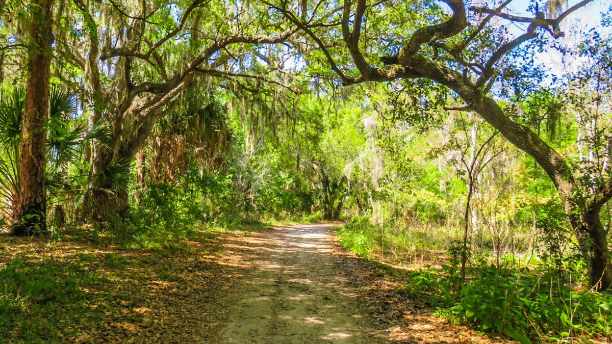 A tree shaded path at Boyd Hill Nature Preserve.