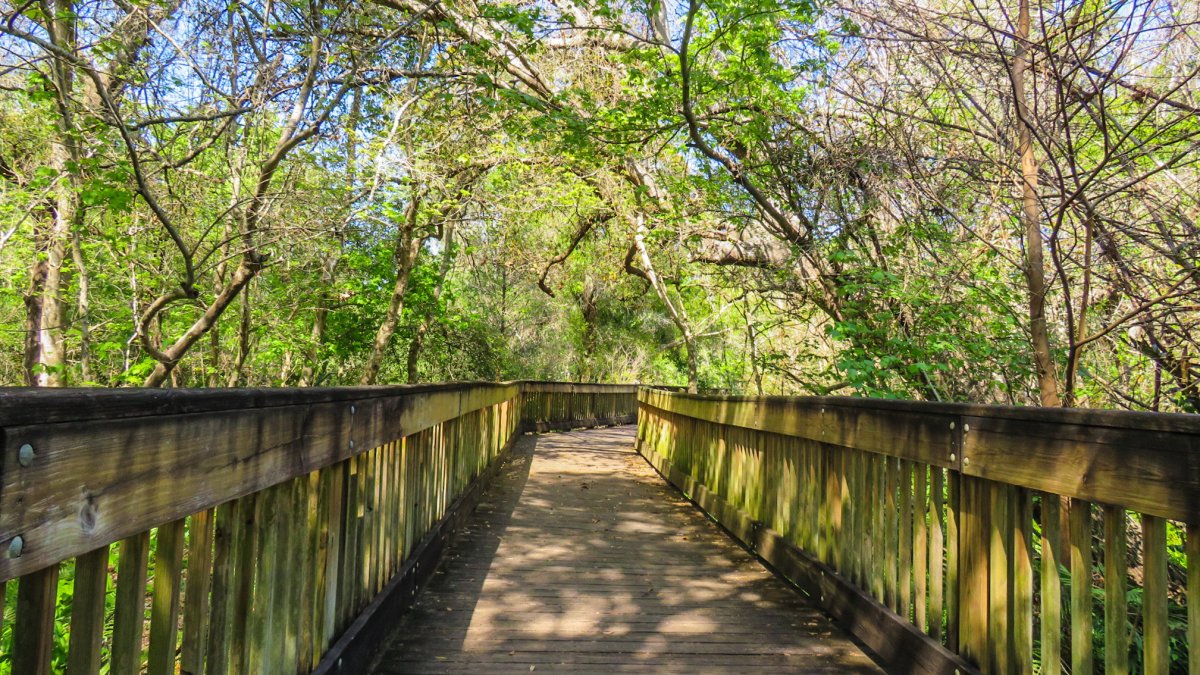 A shady boardwalk at Crescent Lake Park