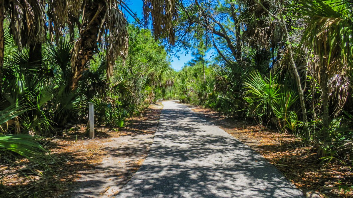 Paved wooded trail in Weedon Preserve