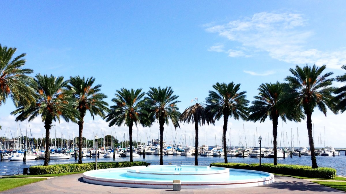 A low, flat fountain is ringed by palm trees in Albert Whitted Park.