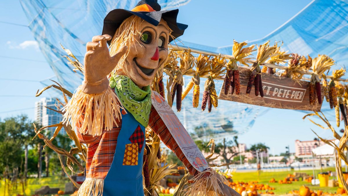 Fall Festivals & Events | Visit St Petersburg Clearwater Florida