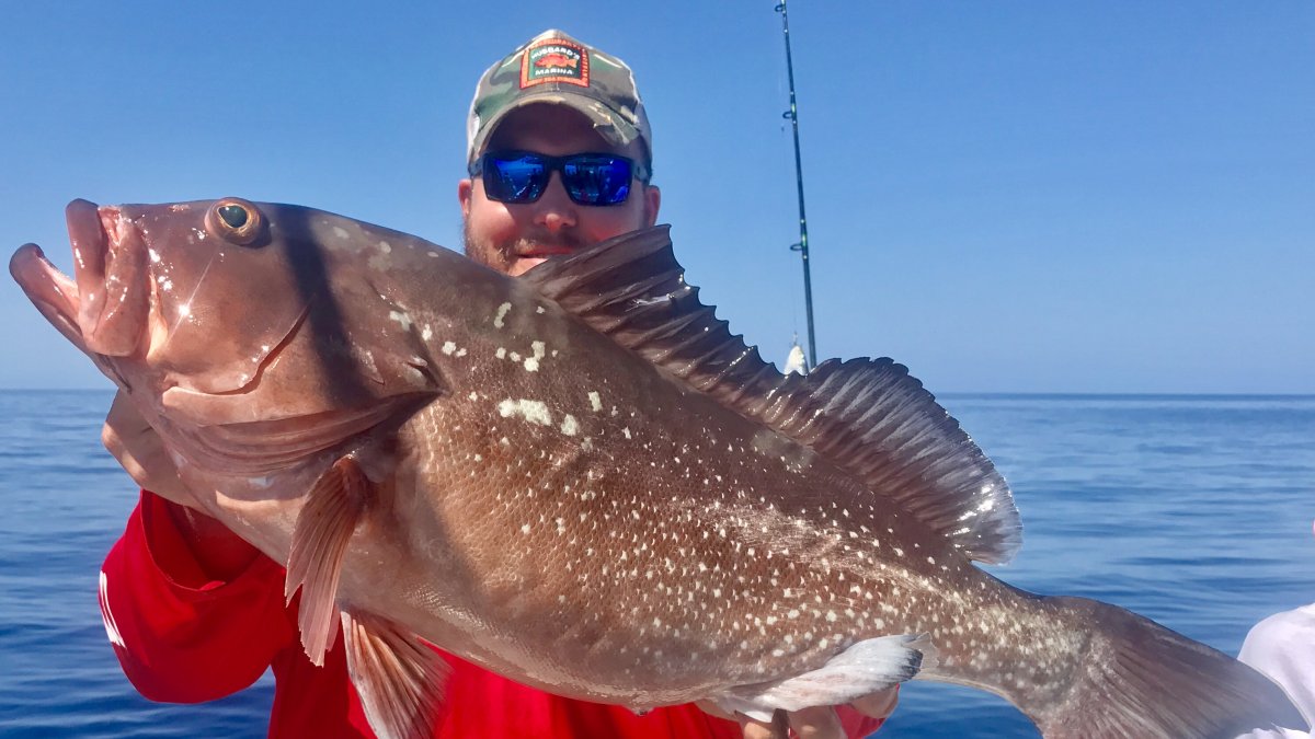 A fisherman holds up a recently caught fish